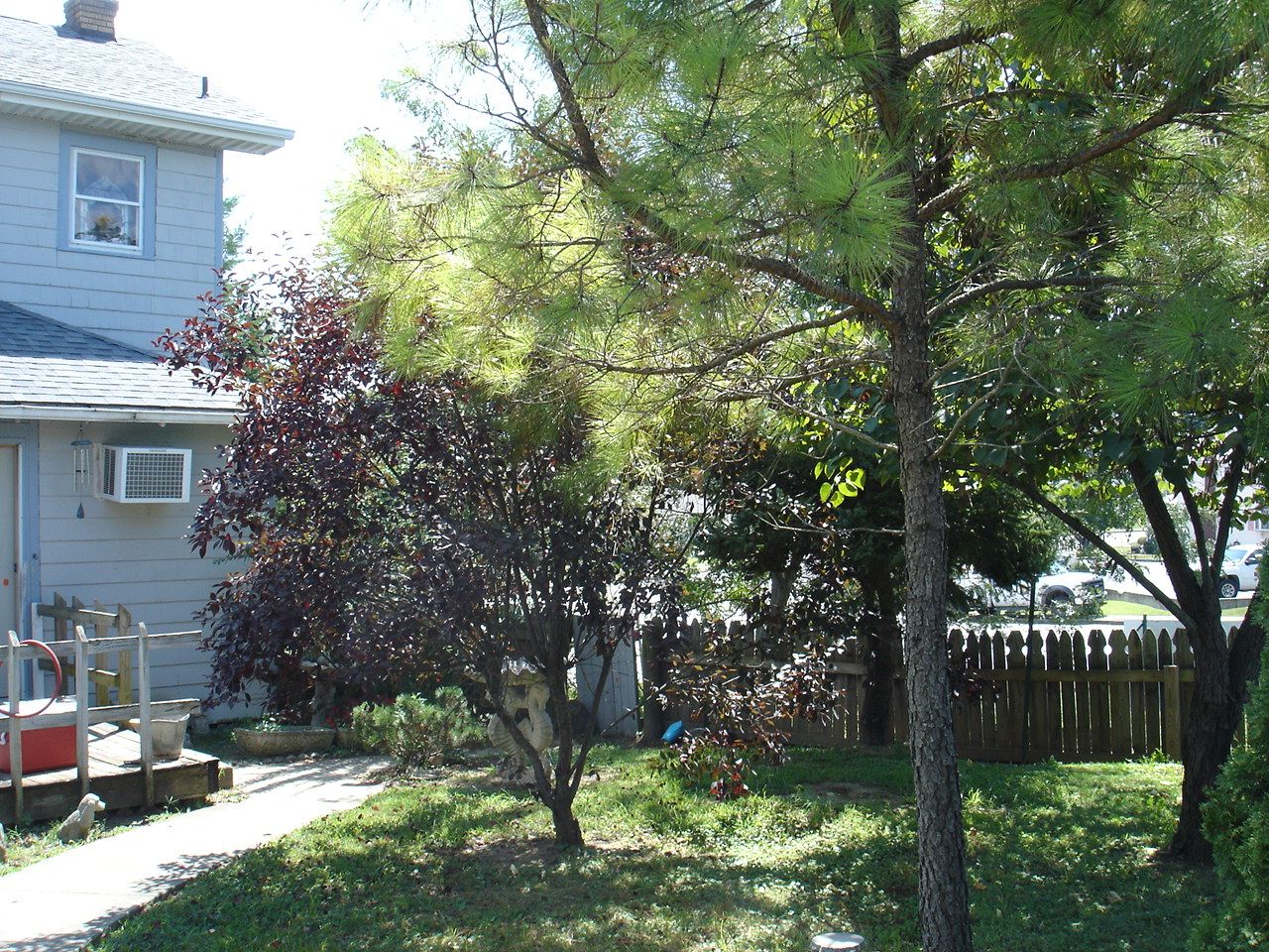 2833 Blackburn Ave, Ashland, KY 41101